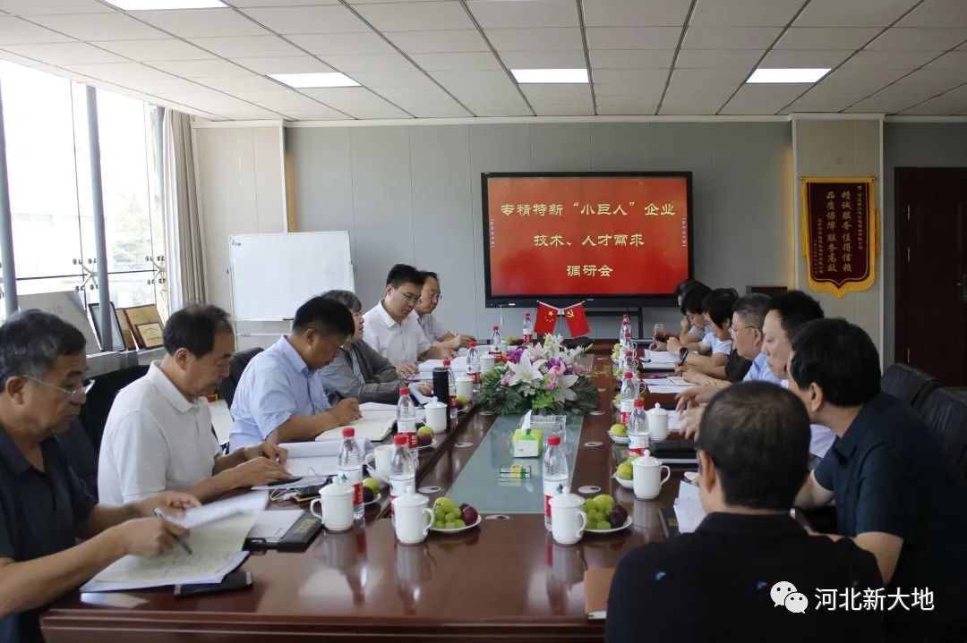 專精特新“小巨人”企業(yè)技術(shù)、人才需求調(diào)研組到河北新大地調(diào)研